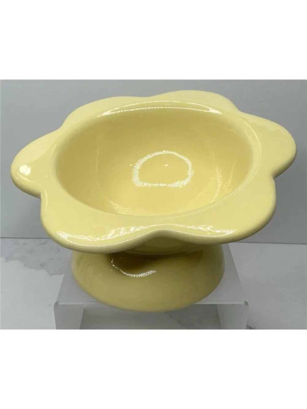 Rare Rockybear Pets Ceramic Food Bowl Elevated 4